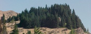 Up on the hill, wine, vineyard, vinyards, washington wines, Chantepierre, Rose', Cabernet Sauvignon, Cabernet Franc, Malbec, Petit Verdot, Pinot Noir, Gamy, Syrah, Rousanne, Viognier, merlot