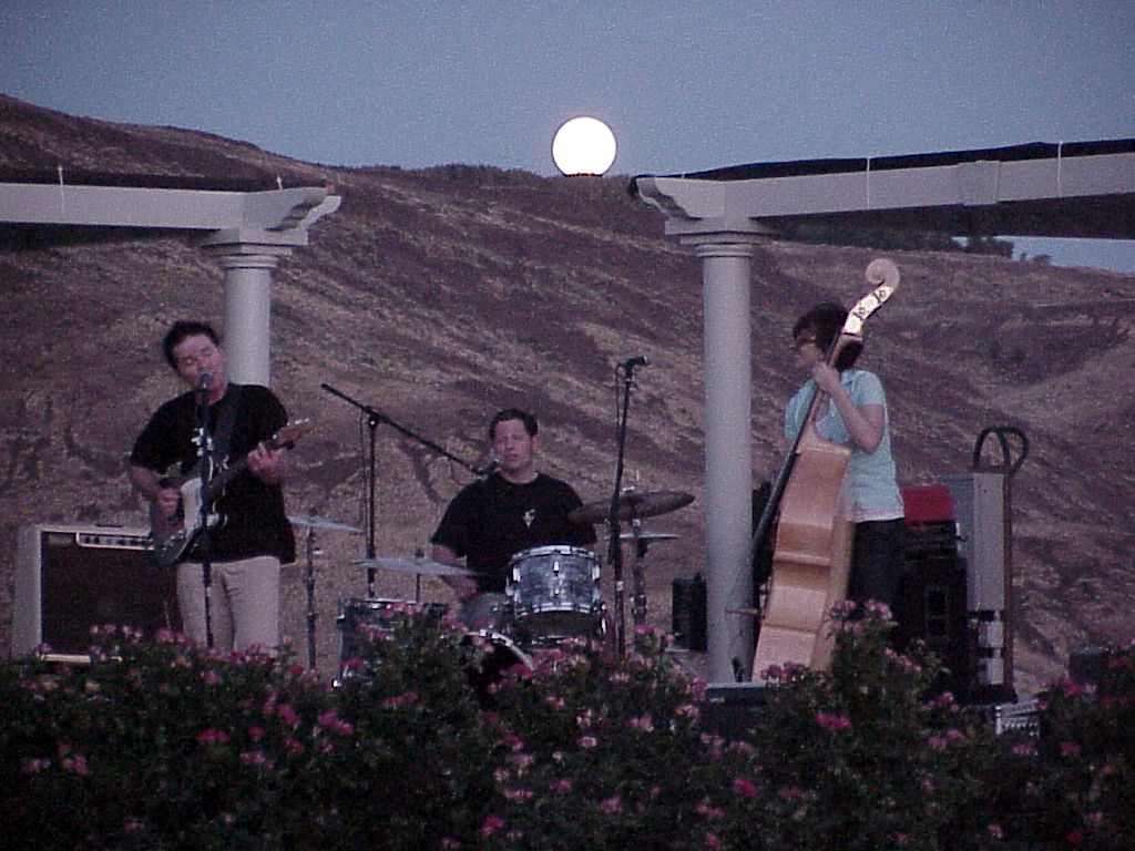 The Black Crabs under the Moon